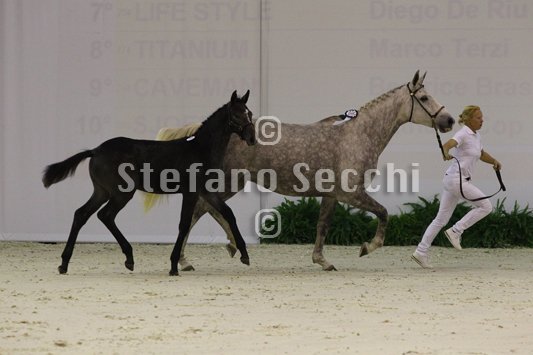 CA D ORO_MILANO_2010_SS3_3915.jpg